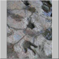 100_0676 (2009-27-07)cr.jpg